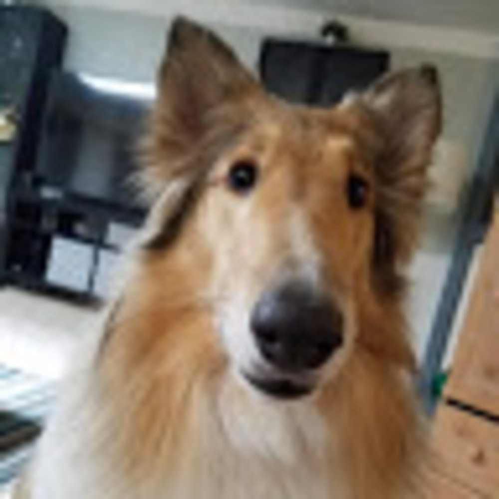 Meet your Posher, Kyra